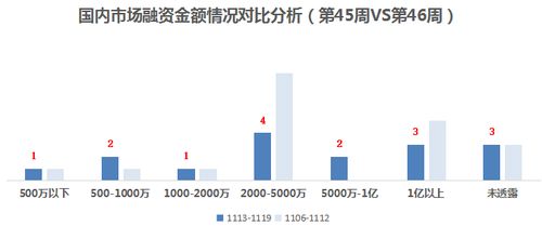 誰說性感只能有維密一種 neiwai內(nèi)外獲7000萬B輪融資，推動融資性擔(dān)保視角下的內(nèi)衣行業(yè)變革