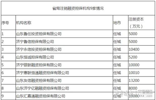 濟寧9家融資擔保機構退出市場，行業規范再升級