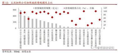 6號文紓民企出新招，堵城投斬擔?！谫Y性擔保機構角色再思考
